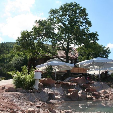 Kastanienhof Apartment Hotel Dannenfels Εξωτερικό φωτογραφία
