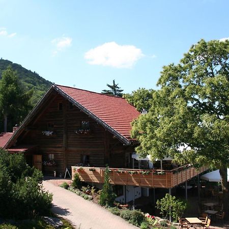 Kastanienhof Apartment Hotel Dannenfels Εξωτερικό φωτογραφία